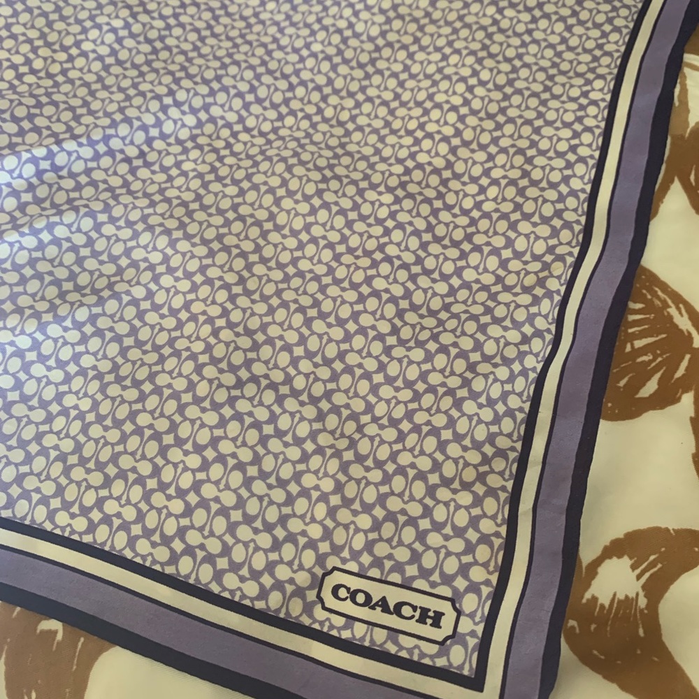 purple coach scarf